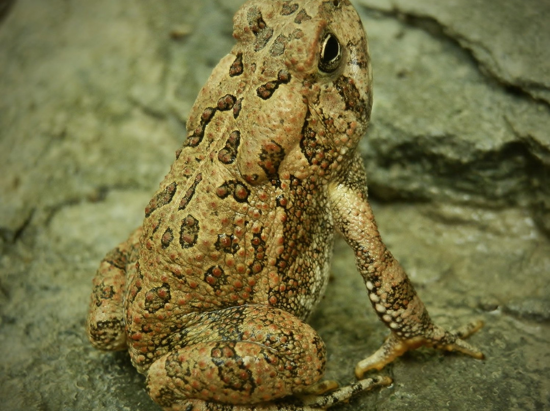 The Parklands of Floyds Fork-路易斯维尔必去景点