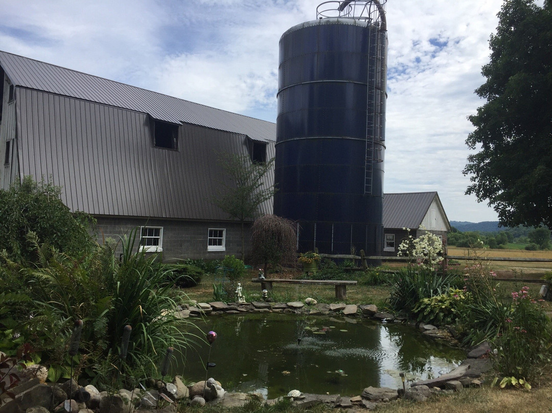 Button's Creekside Farm Bed & Breakfast主图