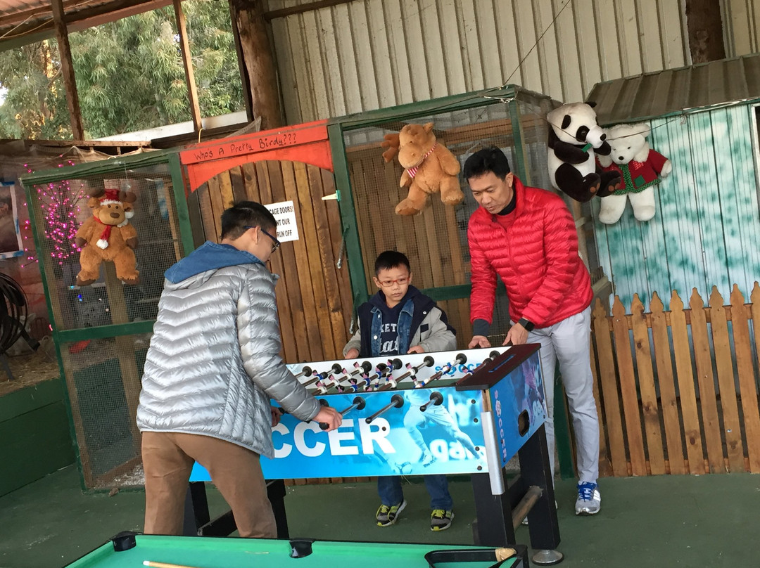 Cowboy Up Trail Rides-彭伯顿必去景点