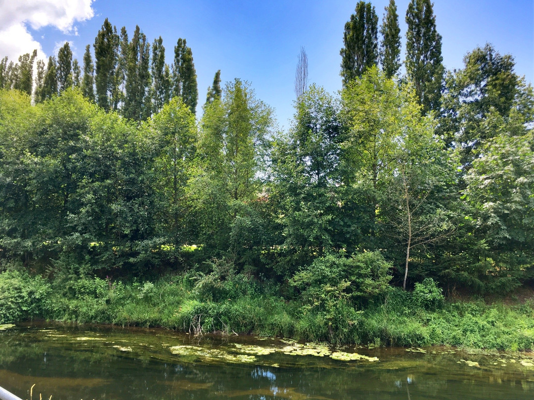 雷德蒙德旅游攻略图片