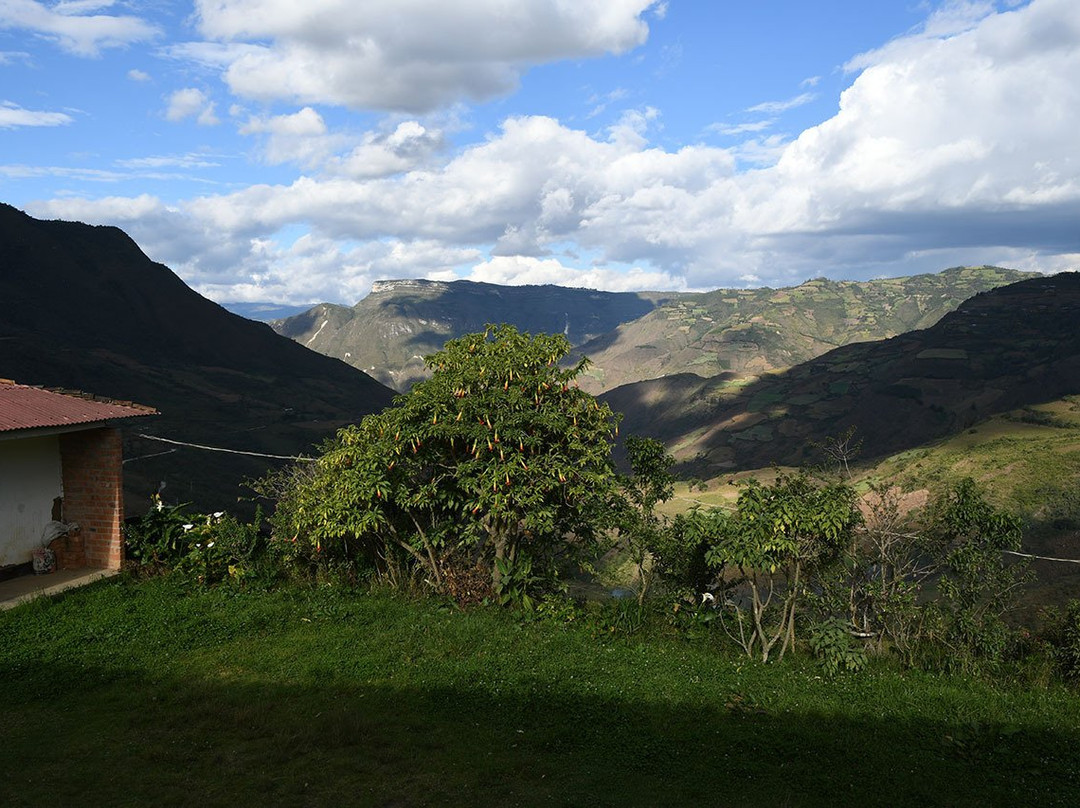 Longuita旅游攻略图片