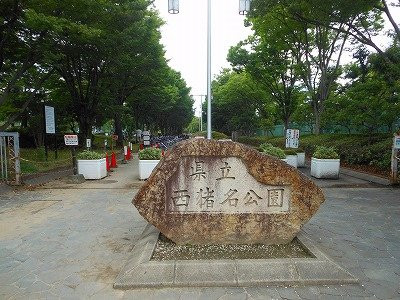 Nishiina Park-川西市必去景点