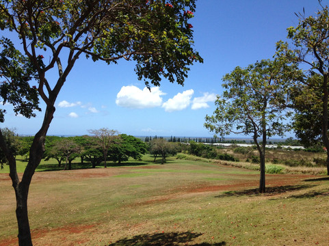 Central Oahu Regional Park-火奴鲁鲁必去景点