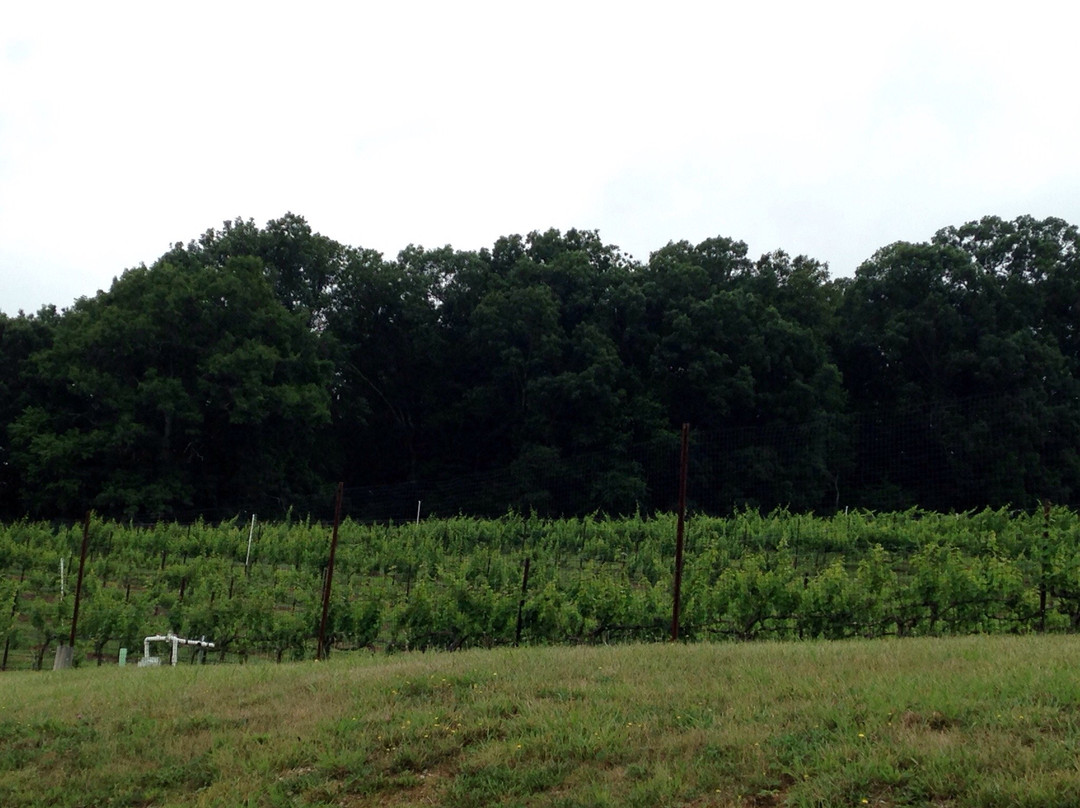 West Wind Farm Vineyard & Winery-Max Meadows必去景点