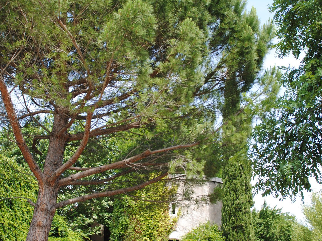 Domaine Rotonde Cavalier景点图片