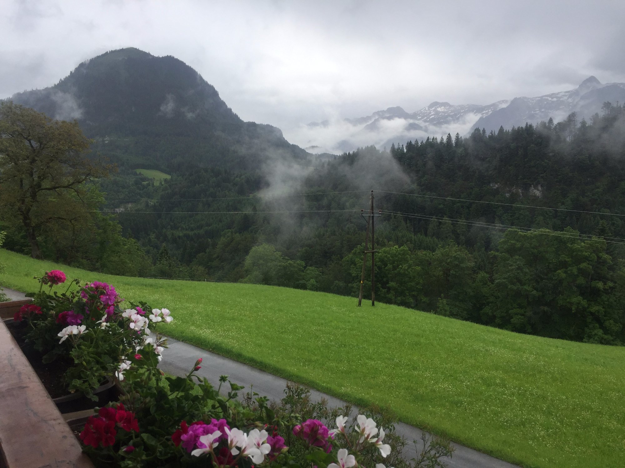 Bio-Familienbauernhof Grubsteighof-酒店景观