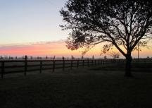 Prairie Wind Farm B&B主图