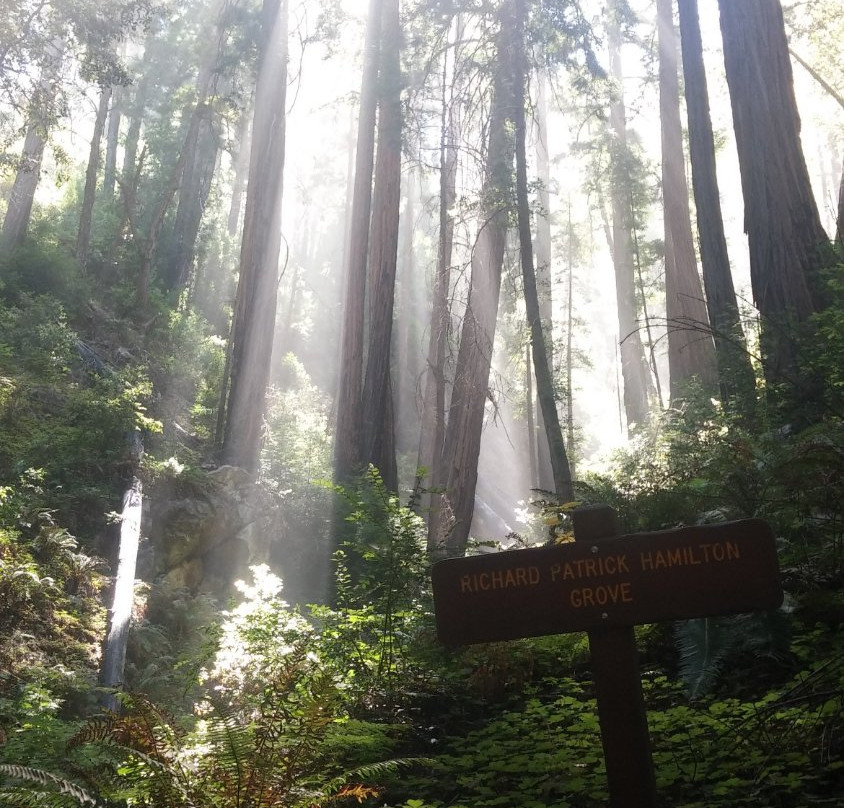 Ewoldsen Trail-大苏尔必去景点