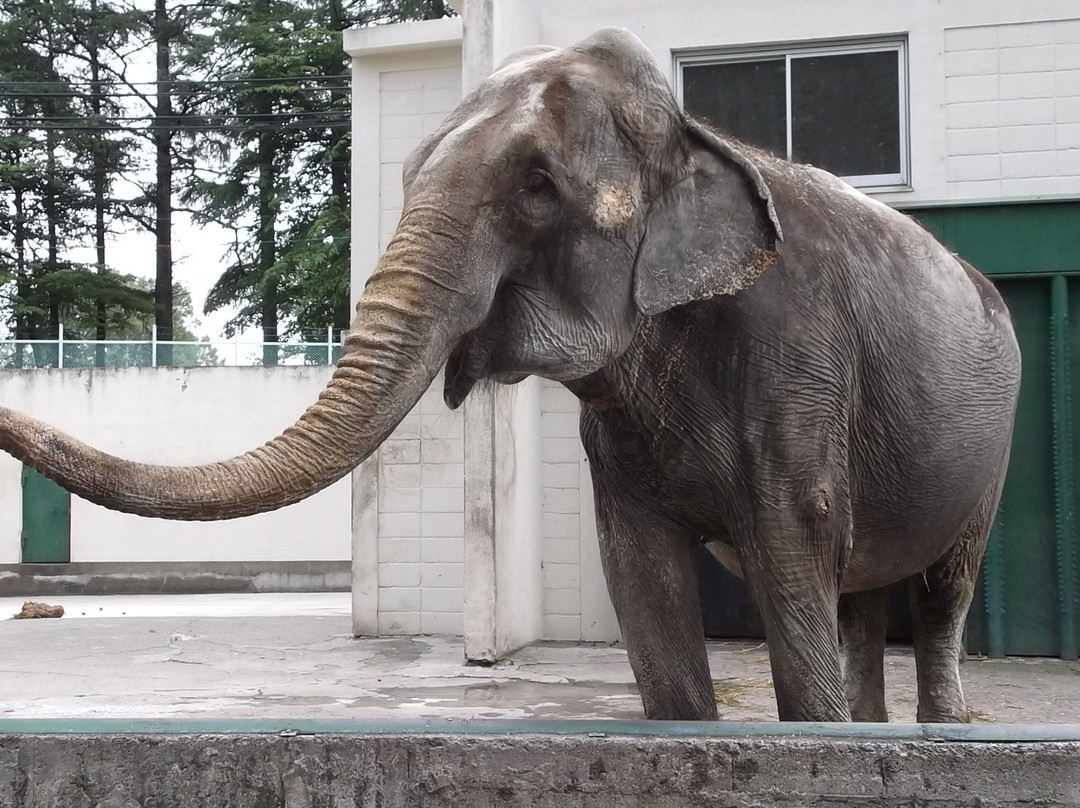 Obihiro Zoo-带广市必去景点