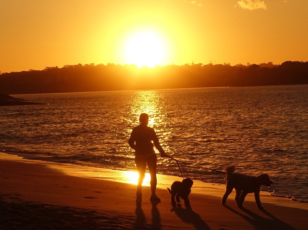 Dharawal Aboriginal Engravings Site-Royal National Park必去景点