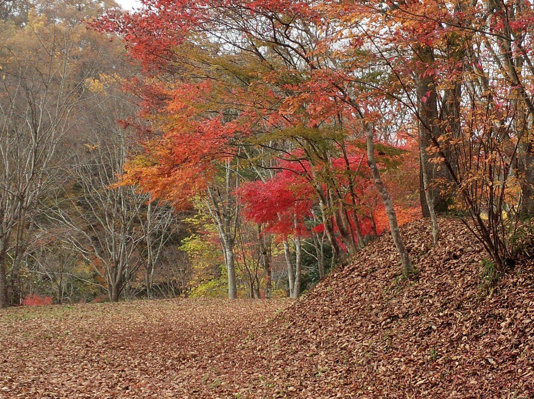 Yusuikyo-小国町必去景点