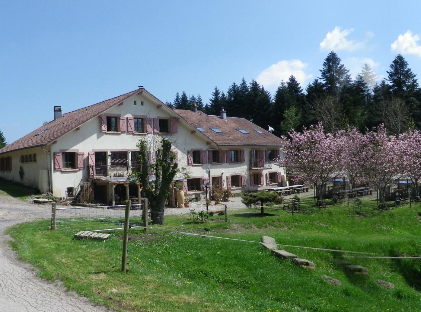 La Belle Charbonnière-官方