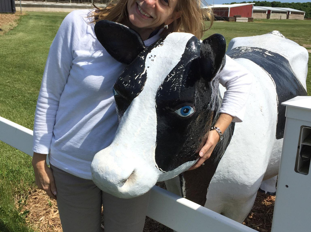 Schopf's Hilltop Dairy-斯特金贝必去景点