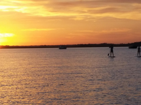 Folly Beach SUP & Surf-福利比奇必去景点