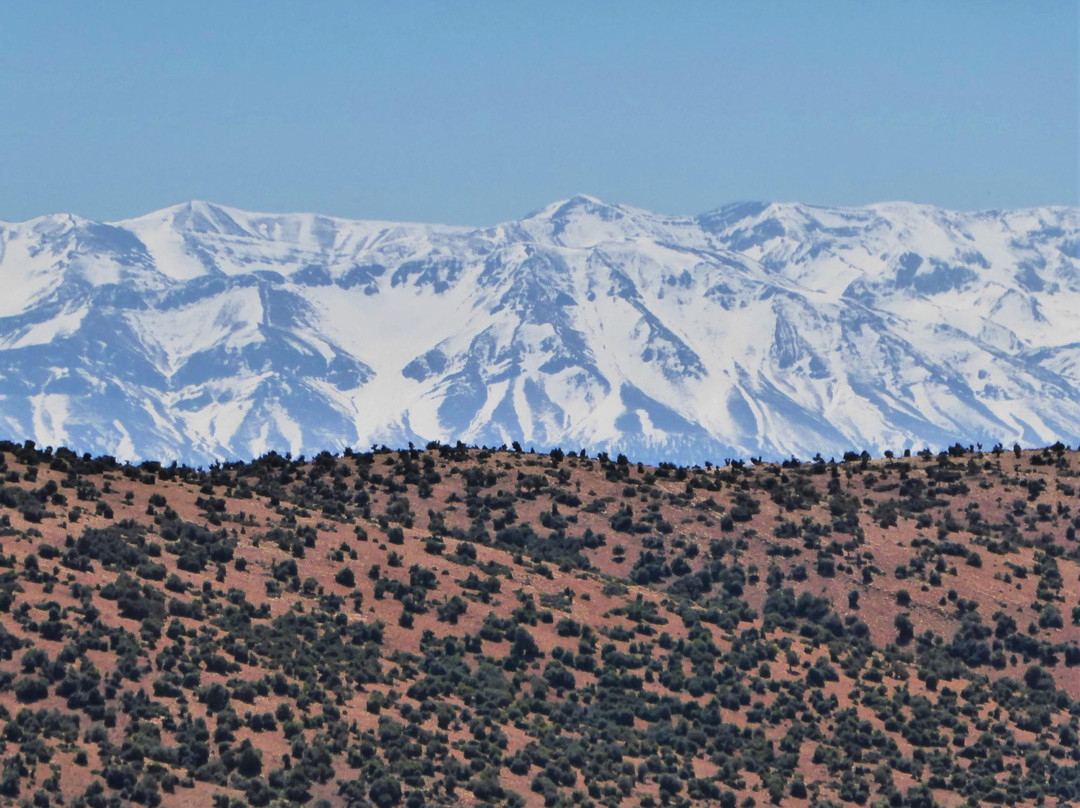 摩洛哥专业旅行-卡萨布兰卡必去景点