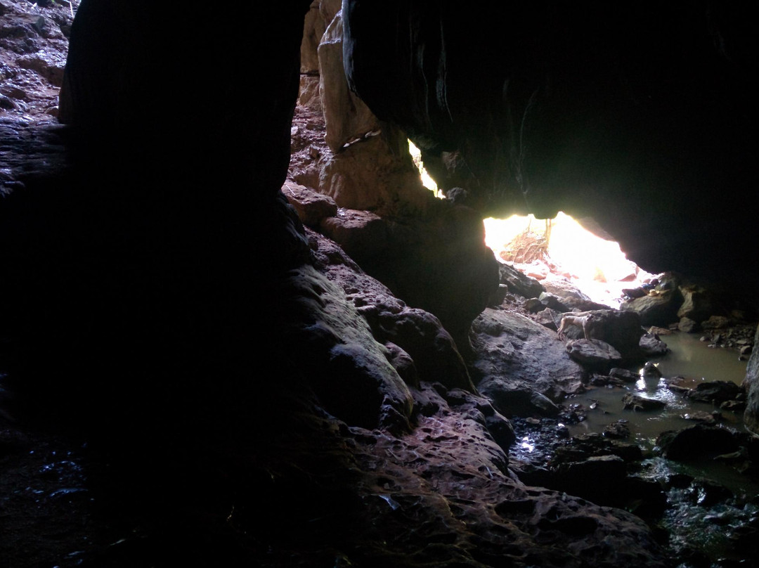 Cueva del Palmarito景点图片