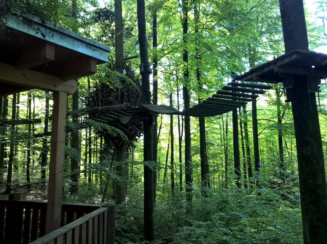 Mainau Erlebniswald-康士坦茨必去景点
