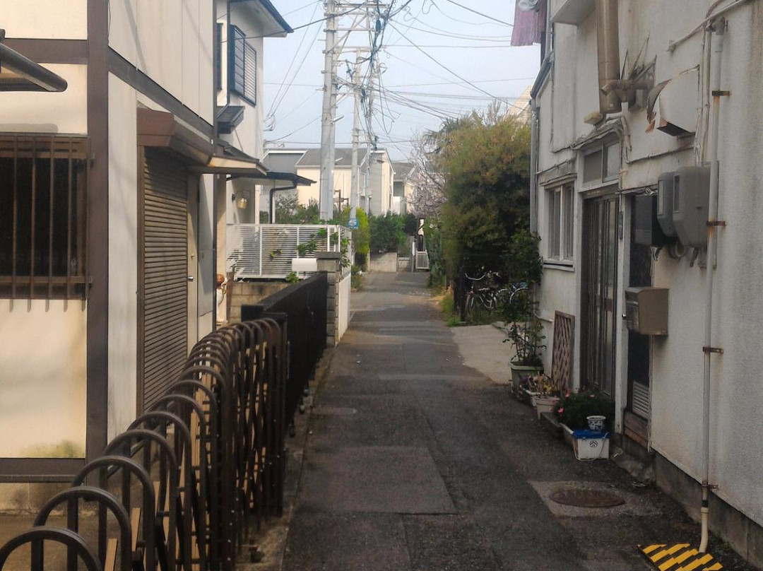 Kugenuma Kaihin Park-藤泽市必去景点