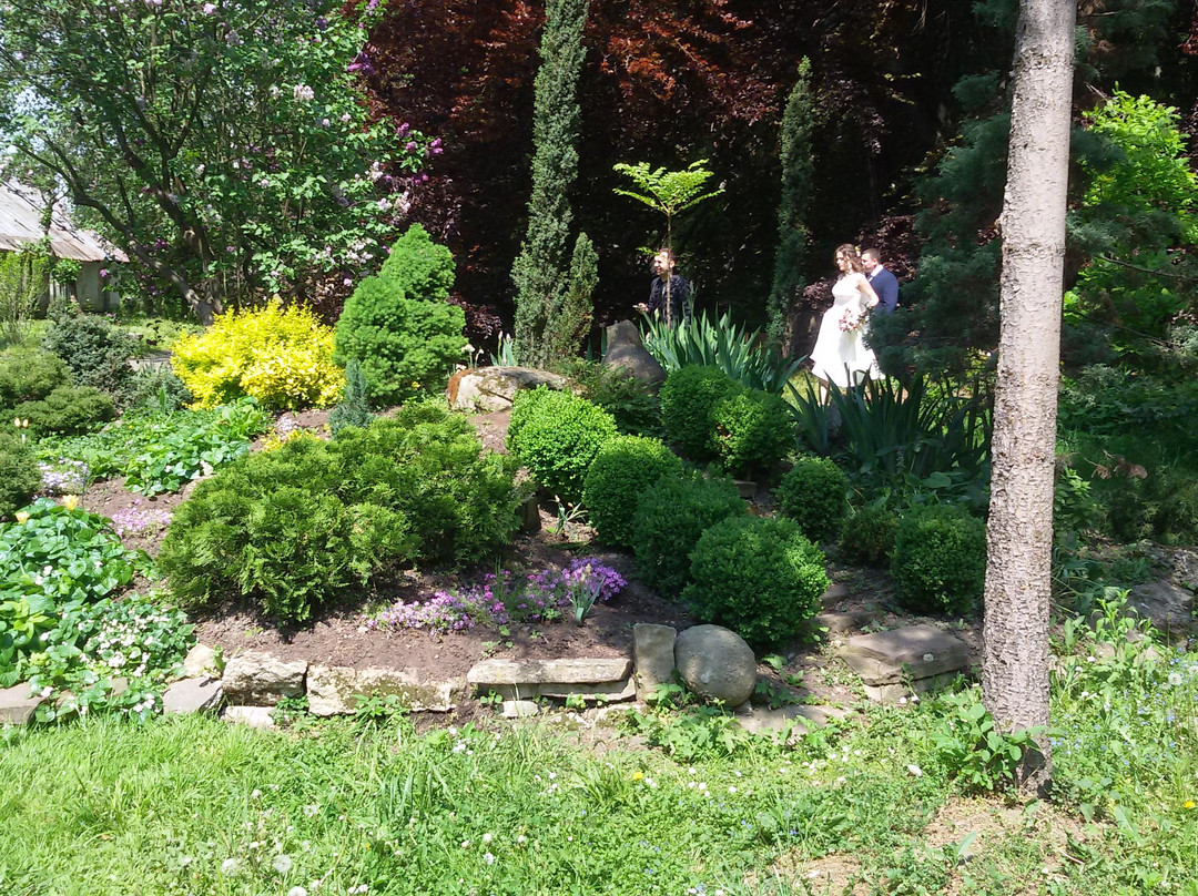 Chernivtsi National University Botanical Garden-Chernivtsi必去景点