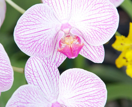 Downtown Campbell Farmers' Market-坎贝尔必去景点