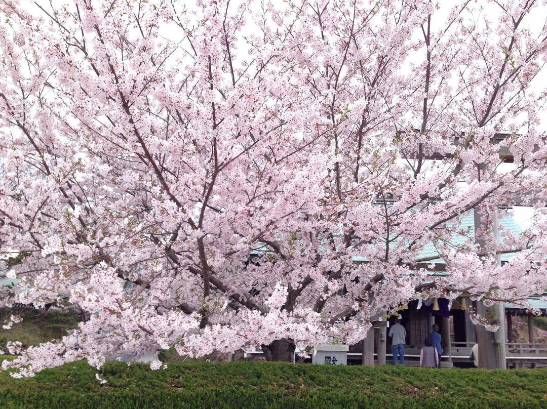 Asahiyama Shinrin Park景点图片
