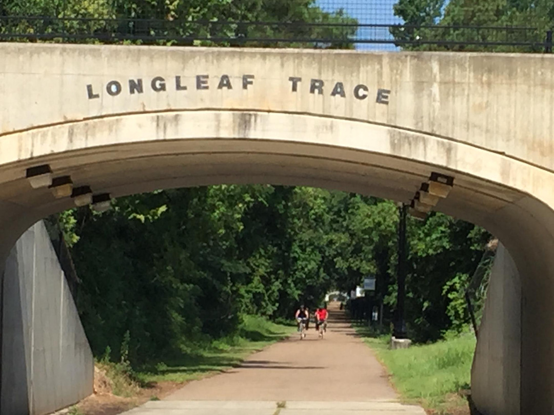 Longleaf Trace景点图片