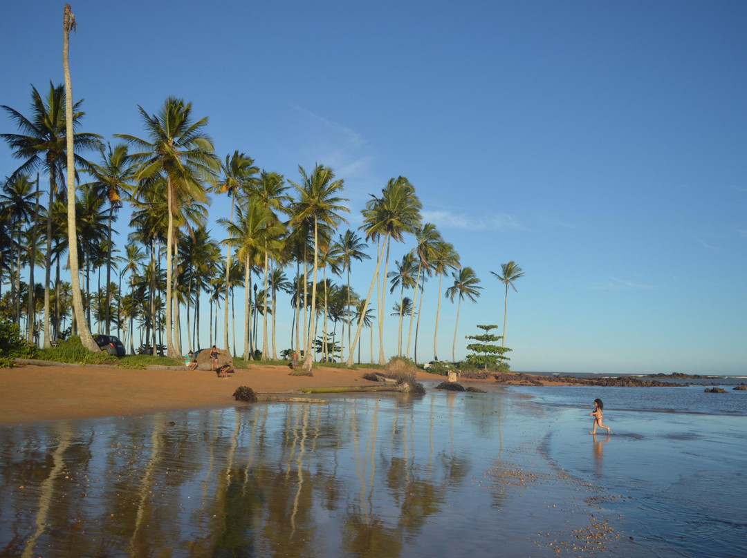 Praia de Coqueiral景点图片