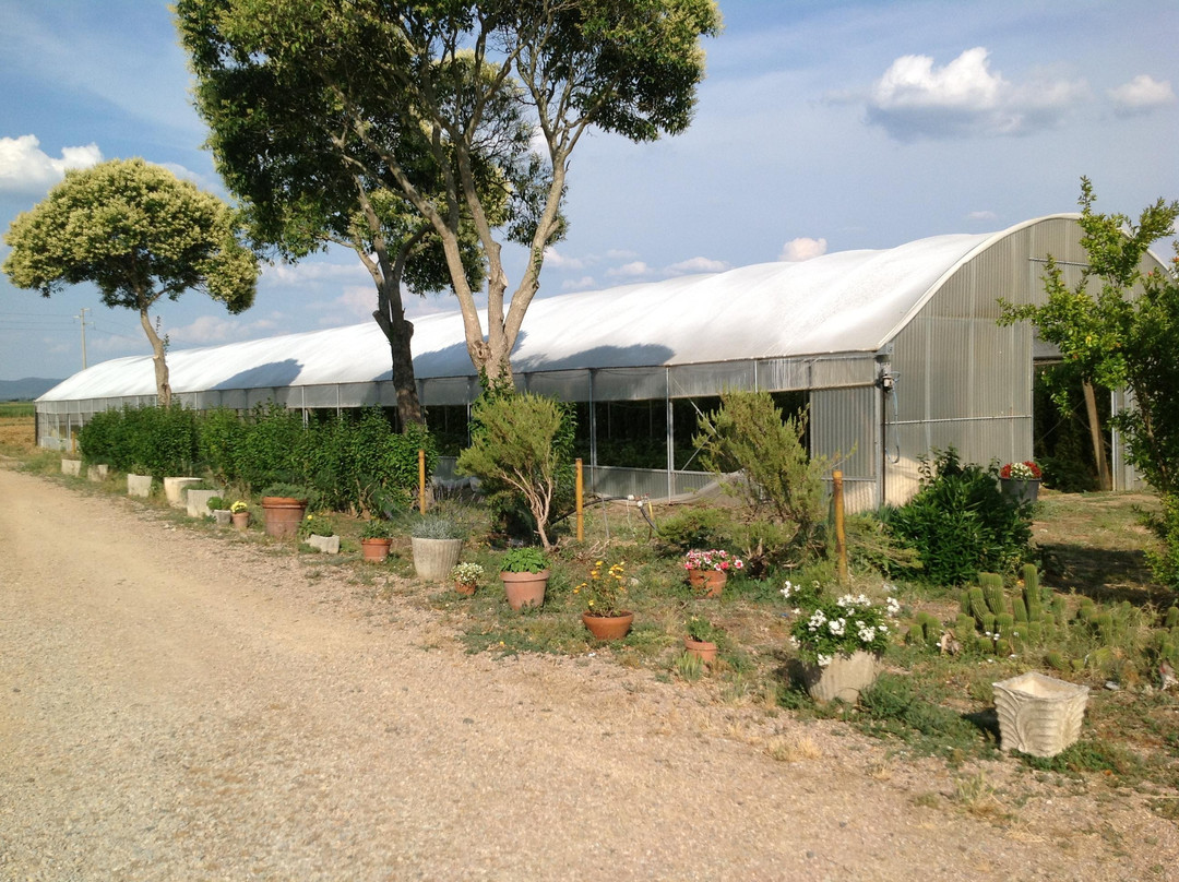 Azienda Agricola La Magia景点图片