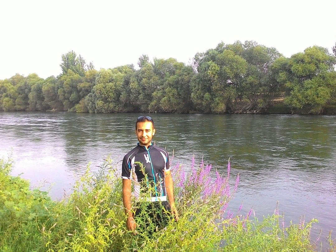 Kirmitli Bird Sanctuary景点图片