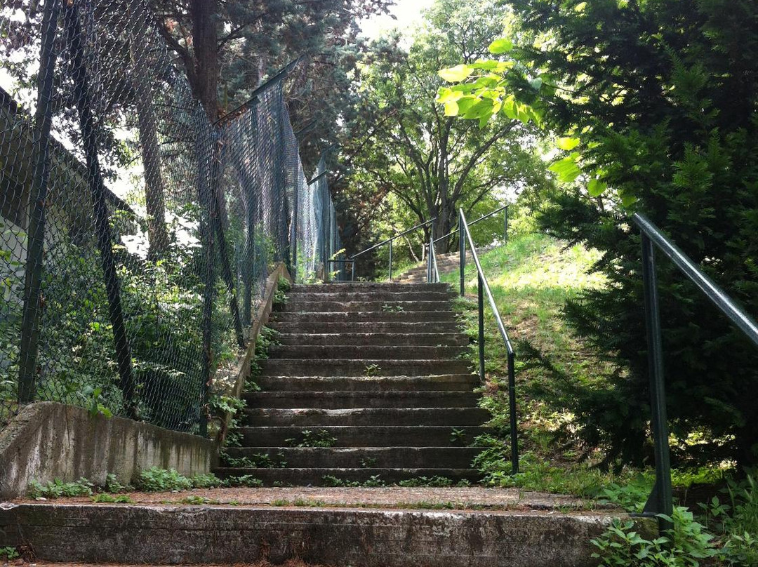 Castello di Tortona景点图片