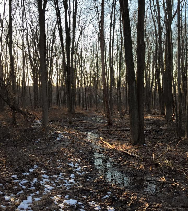 Franklin Park Natural Area-Franklin Park必去景点