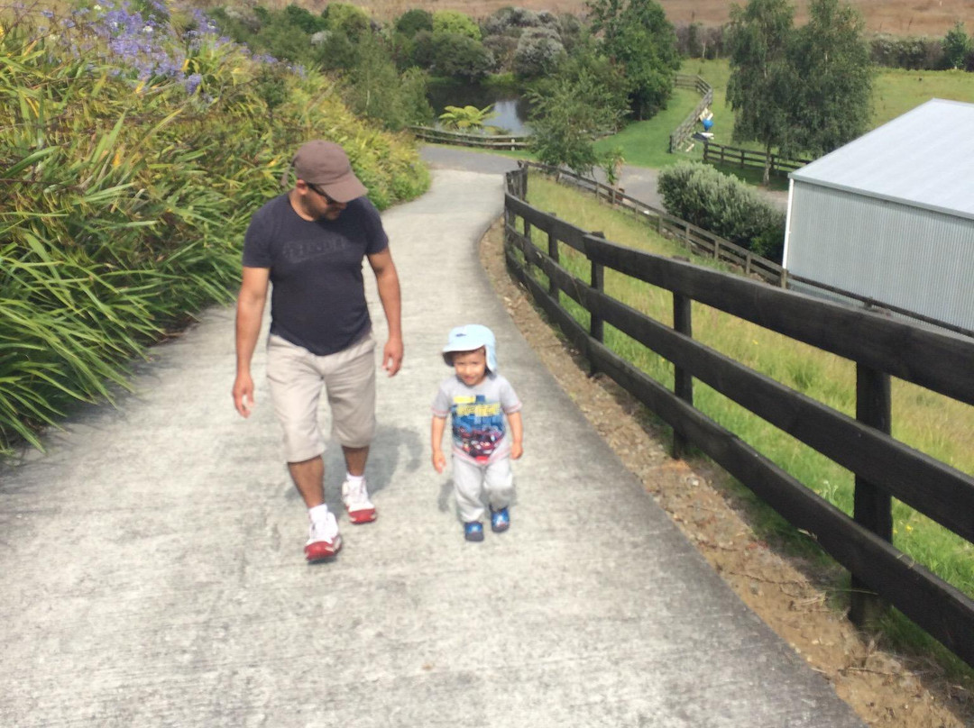 Willowbark Ranch B&B主图