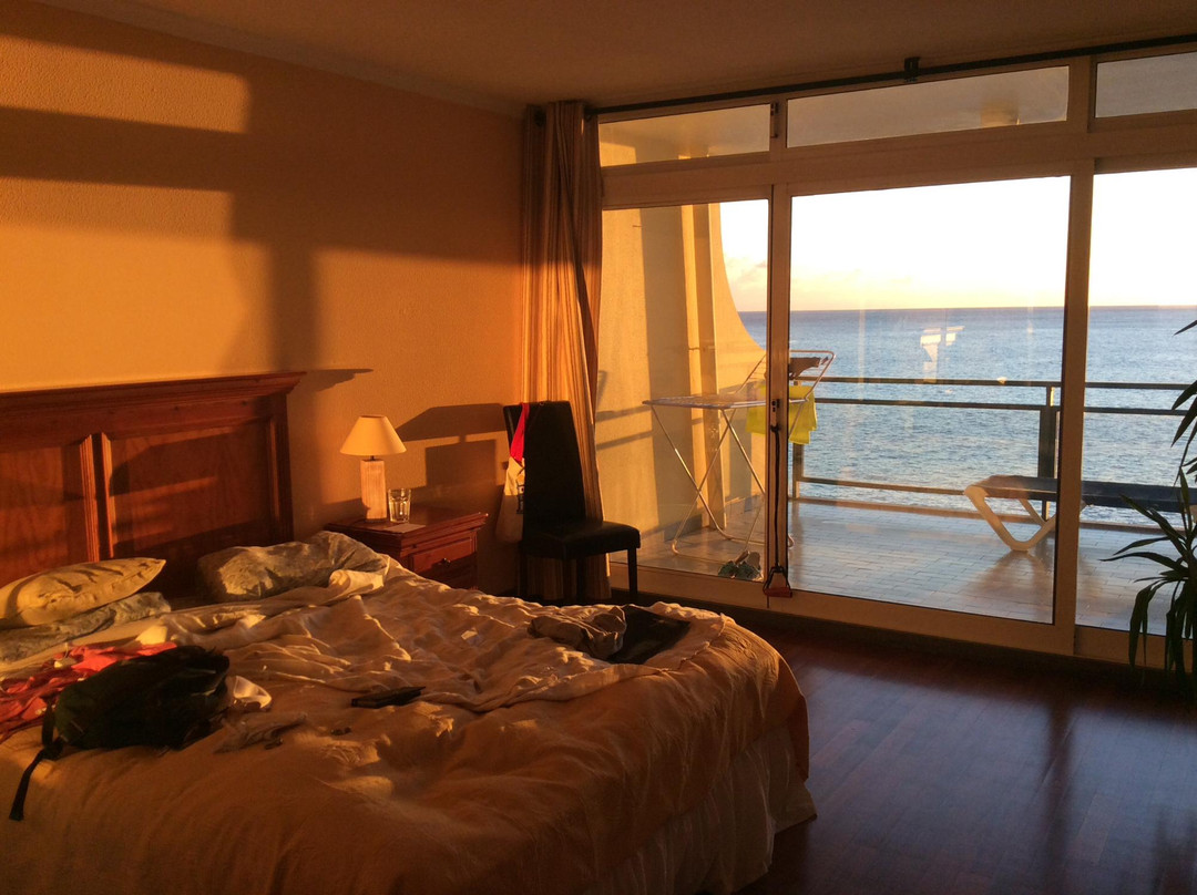 Atlantic Gardens主图