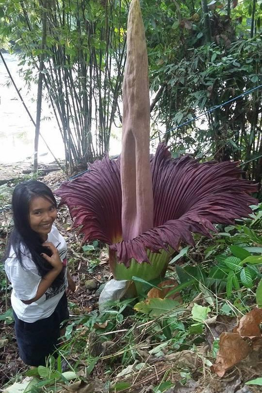 Batu Katak Local Guide-棉兰必去景点