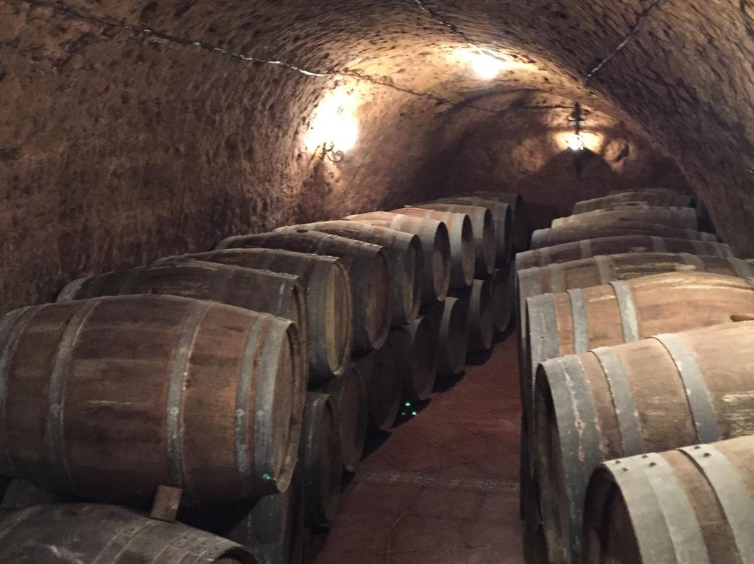 Winery Renalterra景点图片