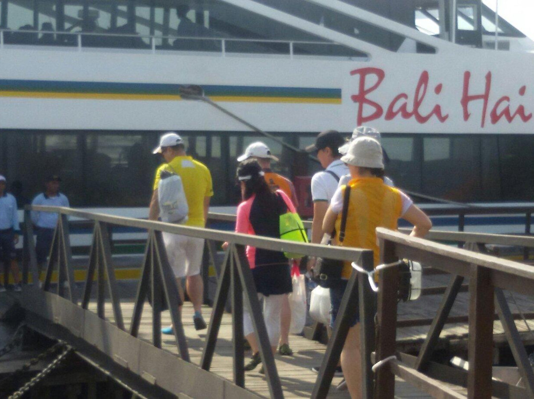 Bali Dolphin Watching Tour-登巴萨必去景点