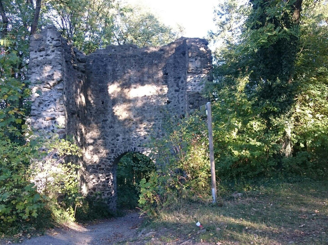 Burg Kalsmunt景点图片