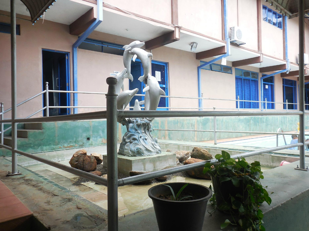 Aladin Guesthouse and Swimming Complex主图