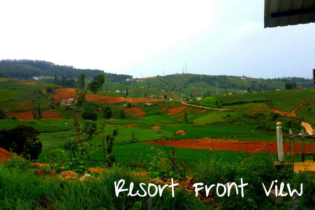 Collection O 83248 Silent Valley主图