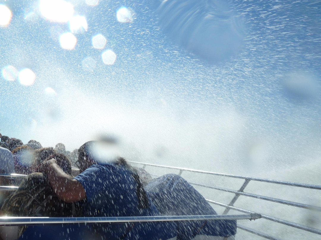 Boardwalk Beast-克马必去景点