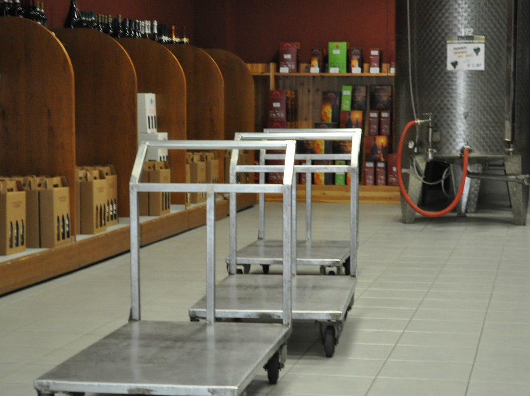 Cantina Sociale S.Giorgio景点图片