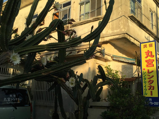 Minshuku Marumiya主图