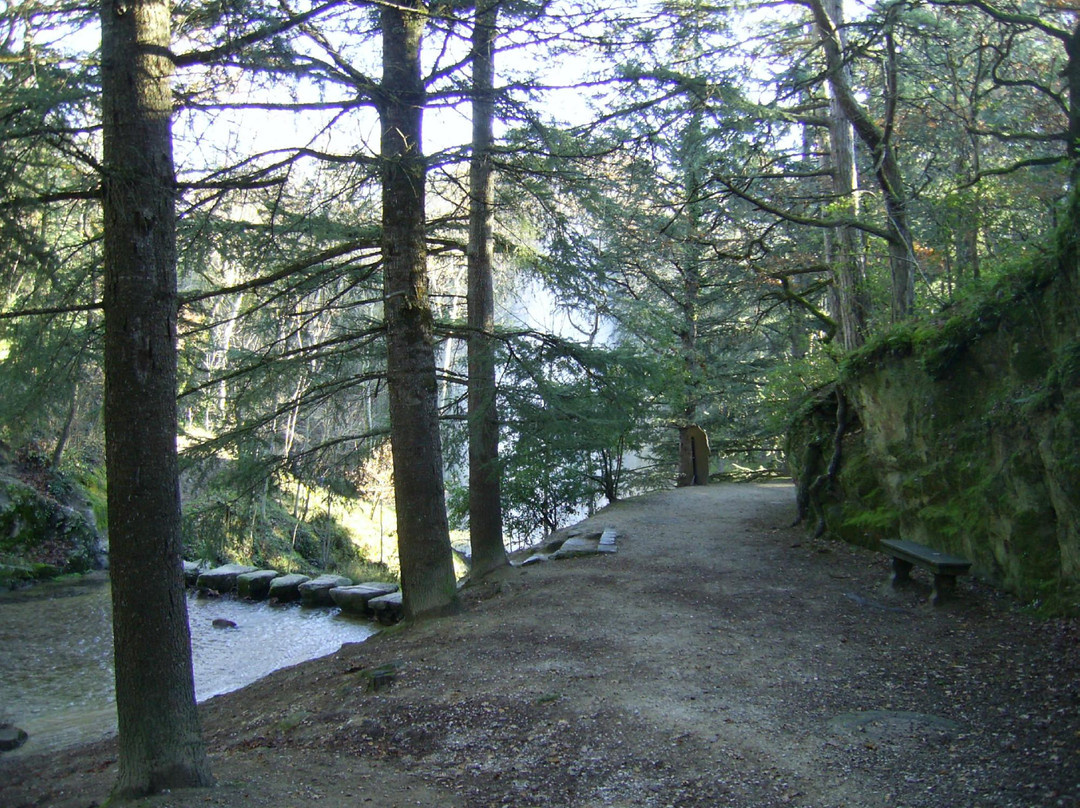 Lac de Saint-Ferréol景点图片