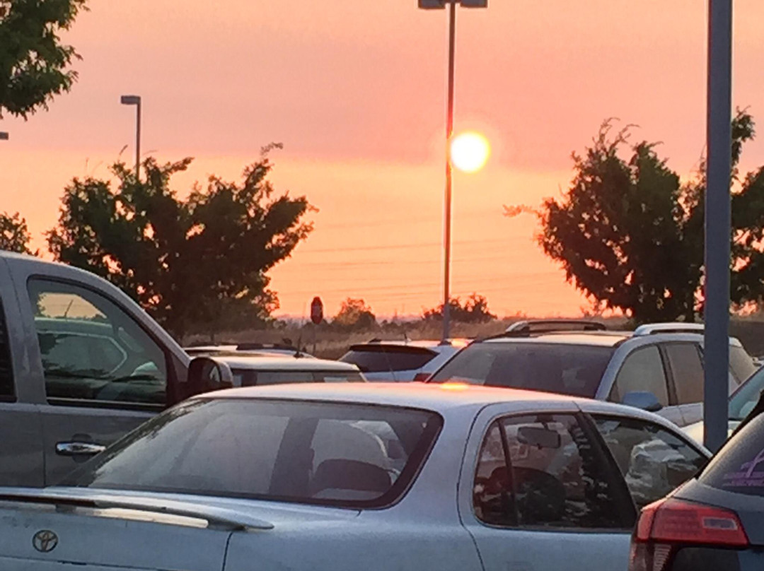 Harris Center-佛森必去景点