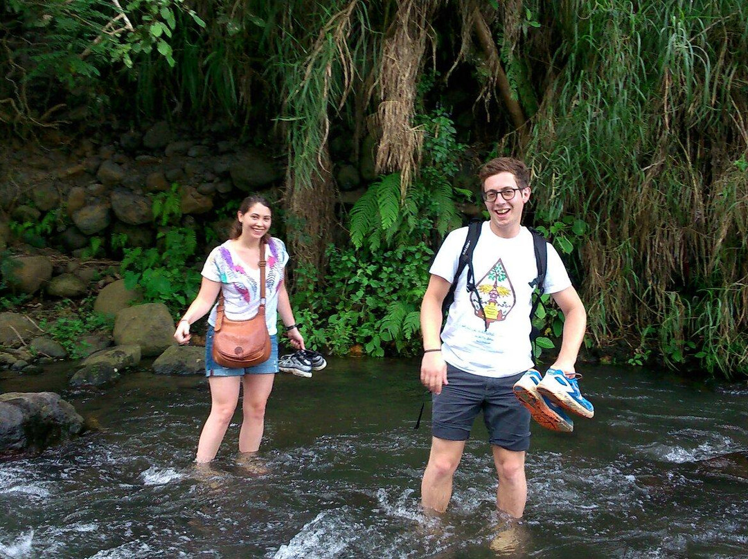Sidemen Tour and Trekking景点图片
