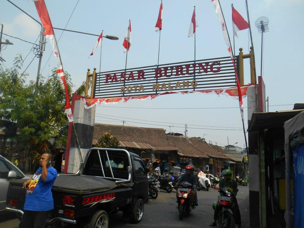 Birds and Flower Market Malang-玛琅必去景点