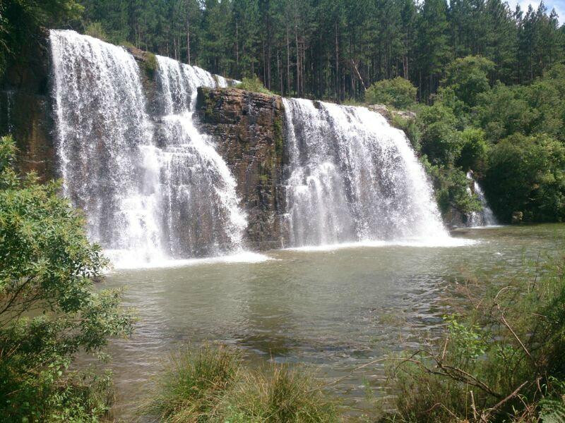 Forest Falls Nature Walk-沙比必去景点