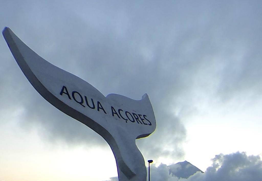 Aqua Açores-Lajes do Pico必去景点