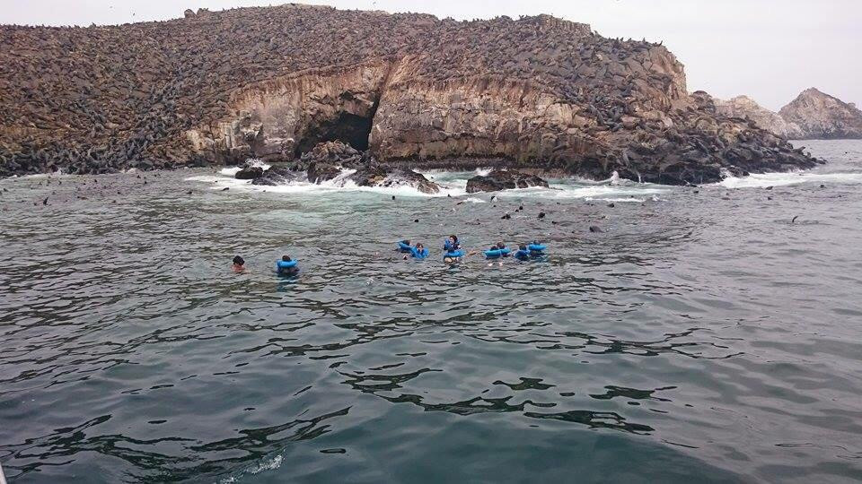 Islas Palomino-Callao必去景点