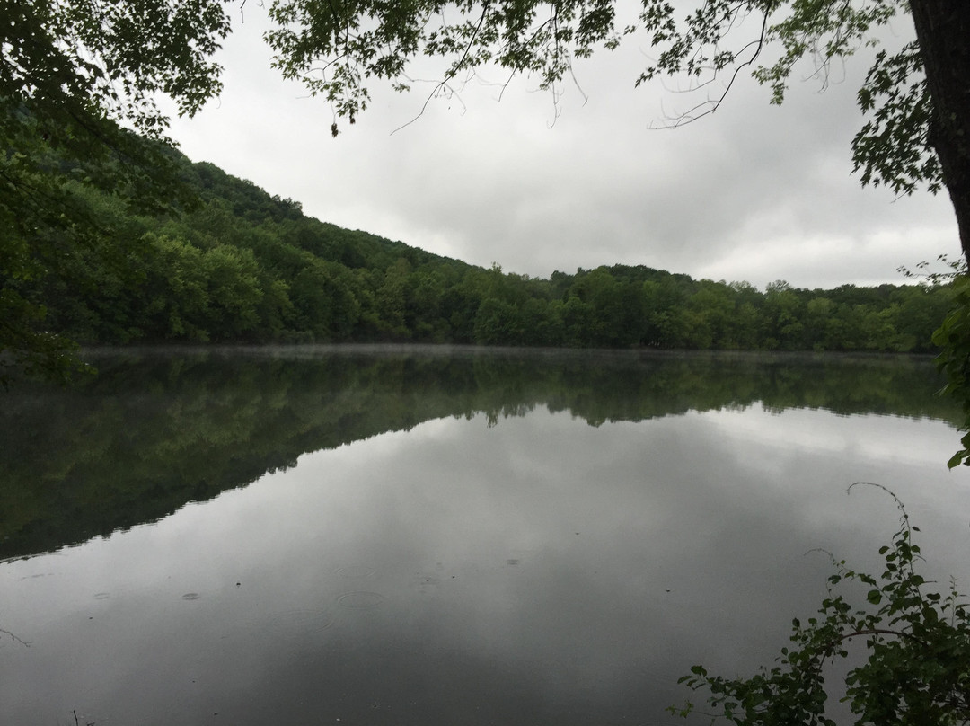 Ramapo Mountain State Forest景点图片